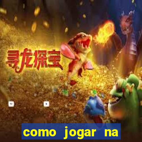 como jogar na lotinha do jogo do bicho